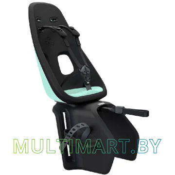 Детское велокресло Thule Yepp Nexxt Mini (мятный)